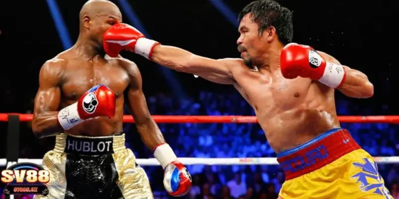 cá cược boxing