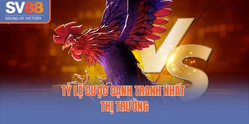 Tỷ lệ cược cạnh tranh nhất thị trường